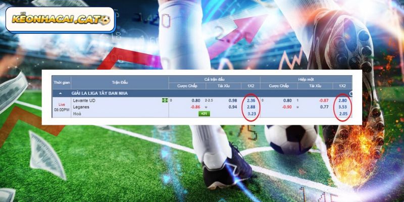 Cách đọc kèo cược châu Á chuẩn xác cho newbie