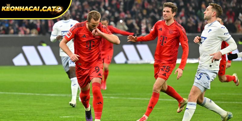 Soi kèo Bayern Munich vs Hoffenheim chi tiết