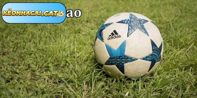 Kèo macao dễ chơi cho người mới đạt 70%