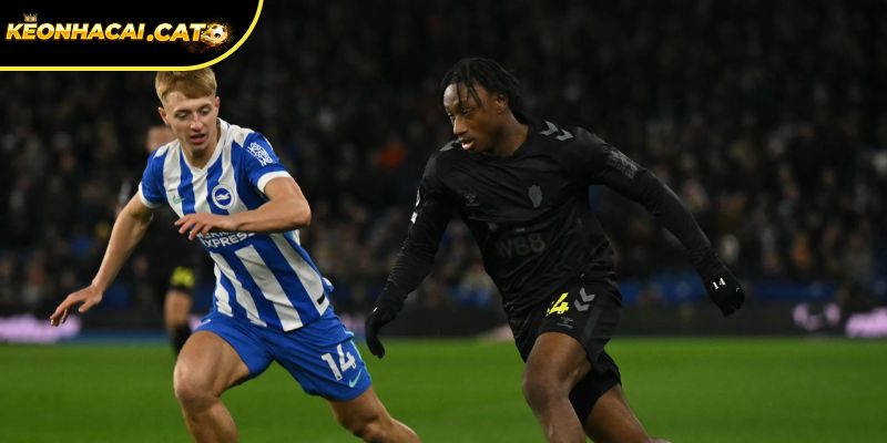 Soi kèo Sunderland vs Brighton chi tiết