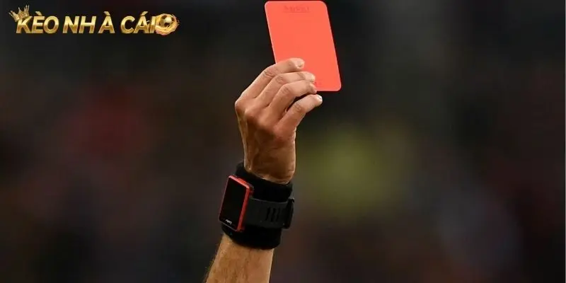 Học ngay cách bắt kèo rung để tránh mất tiền oan
